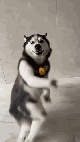 Instagram Lele GIF