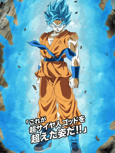 Int Super Saiyan God Ss Goku Super Saiyan God Ss Vegeta Divine Combat Begins GIF