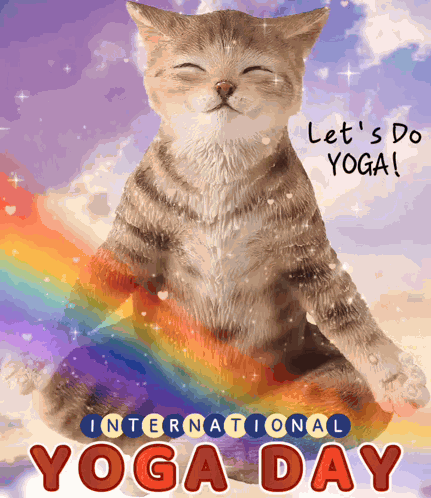 International Yoga Day Yoga Day GIF