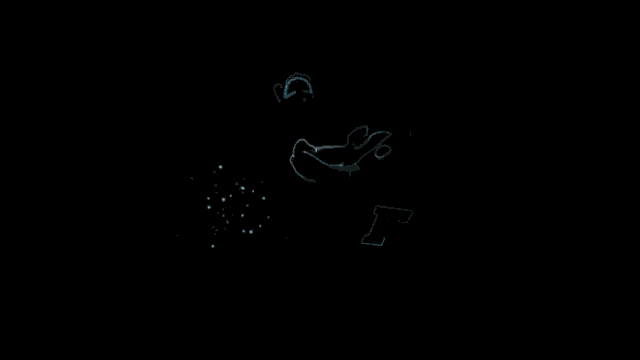 Introduction Animation GIF