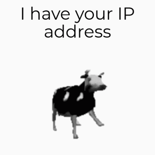 Ip I Have Your Ip Address GIF