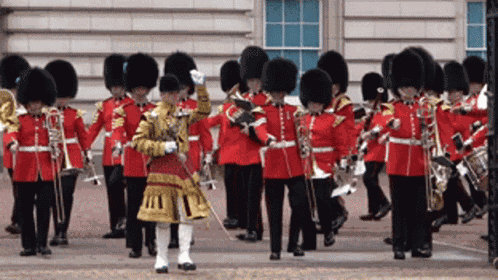 Irish Guards GIF