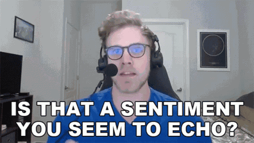 Is That A Sentiment You Seem To Echo Dave Olson GIF