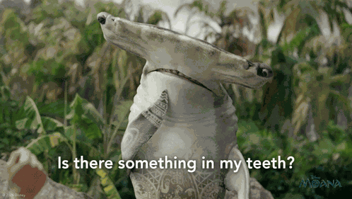 Is There Something In My Teeth Maui GIF