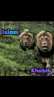 Islam Makhachev Khabib Nurmagomedov GIF