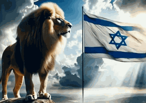 Israel Israel Flag GIF