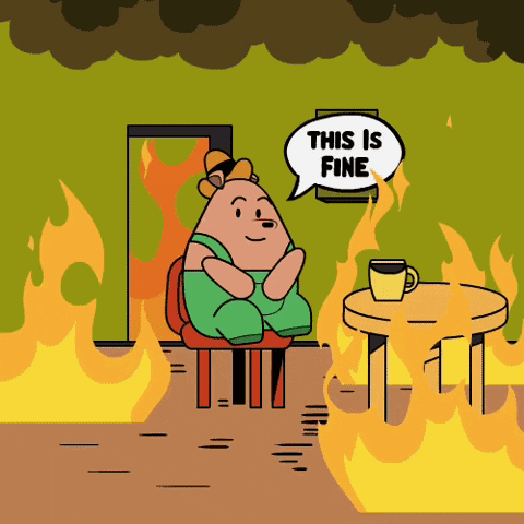 It Is Fine Is Okay GIF