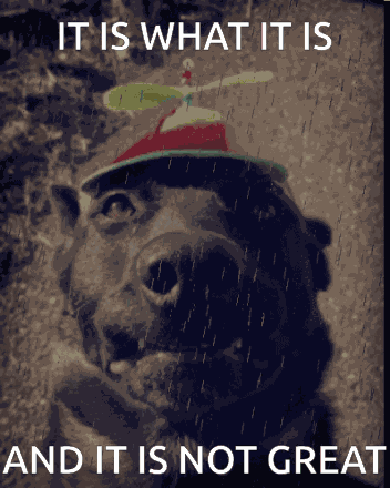 It Is What It Is Not Great GIF