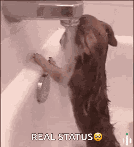 Itrendztrading Sad GIF