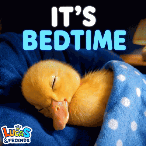 Its Bedtime Good Night GIF