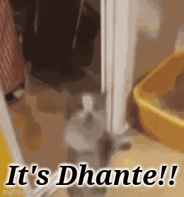 It'S Dhante GIF