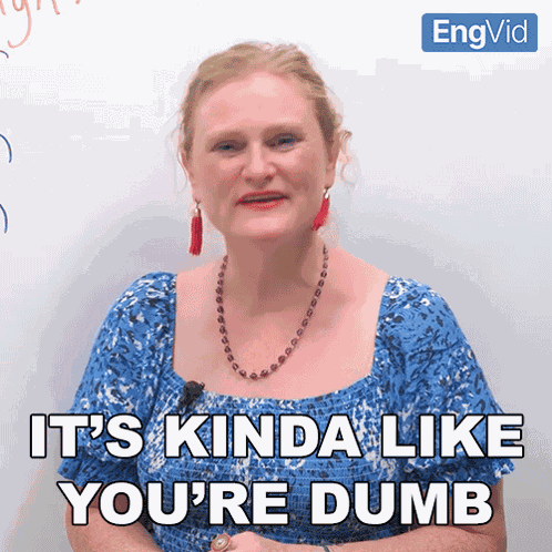 It'S Kinda Like You'Re Dumb Ronnie GIF
