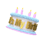 Its My Birthday Send Tiktoks Sticker