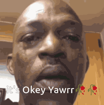 It'S Okey Yawrr Meme GIF