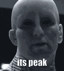 Its Peak Its Peak Alien GIF