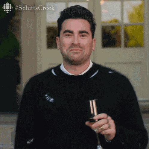 Its Perfect David Rose GIF