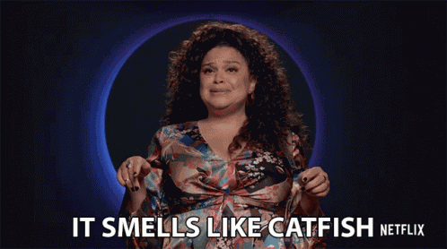 Its Smells Like Catfish Smells Like A Scam GIF