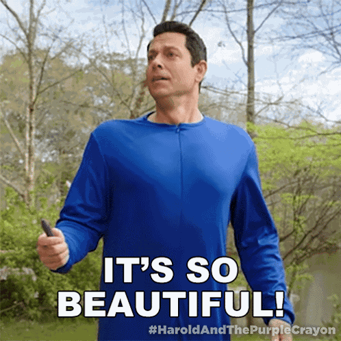 It'S So Beautiful Harold GIF