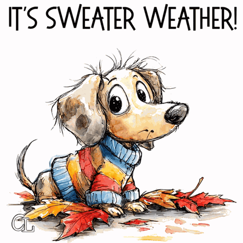 Its Sweater Weather Fall Weather GIF