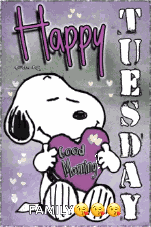 Its Tuesday Good Morning GIF