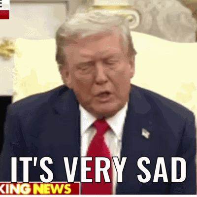 It'S Very Sad Donald Trump GIF