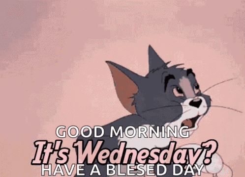 Its Wednesday Tom And Jerry GIF