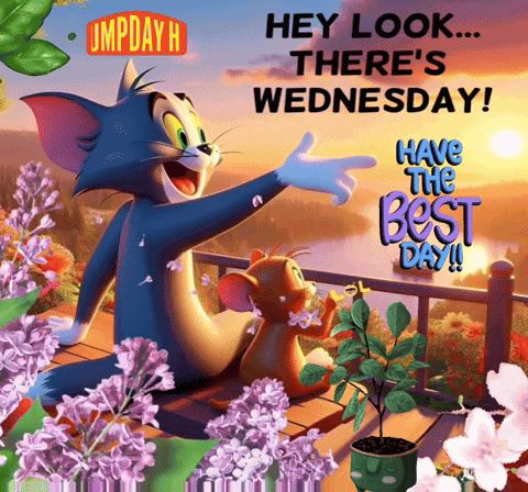 It'S Wednesday GIF
