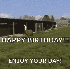 Its Yo Birthday GIF