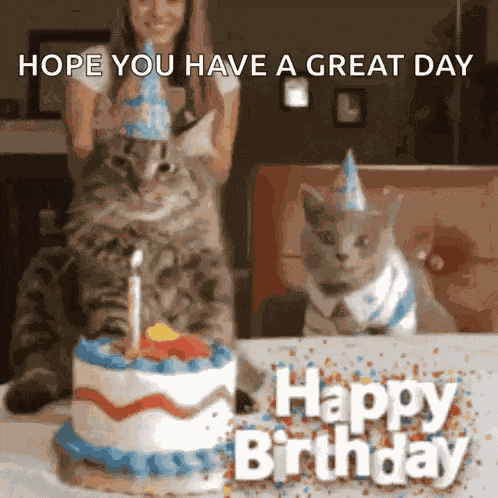 Its Your Birthday Happy Birthday GIF