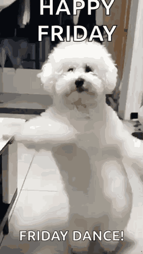 Its Your Birthday Happy Birthday GIF