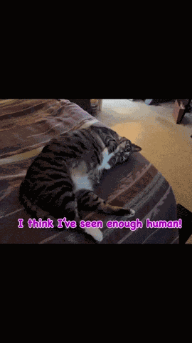 I’ve Seen Enough Human Aww So Cute GIF