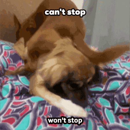 Iyotnana GIF