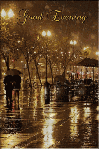 Jóéjszakát Good Evening GIF