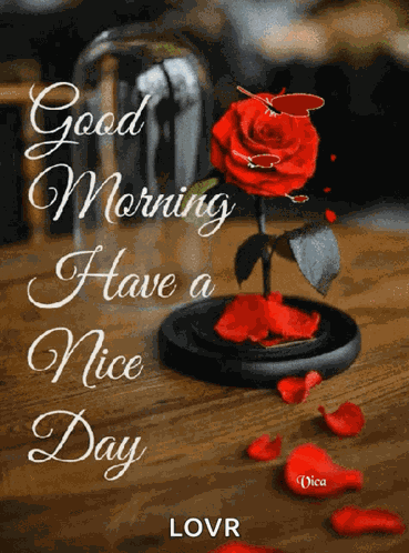Jóreggelt Good Morning GIF