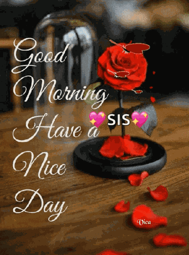 Jóreggelt Good Morning GIF