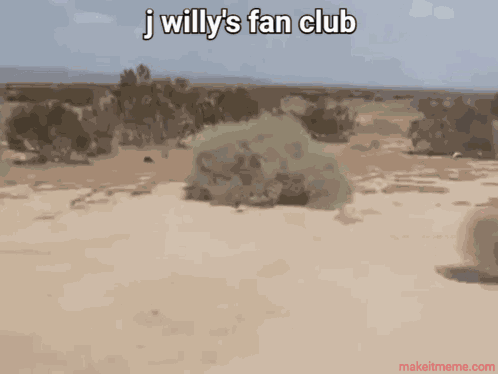 J Willy Science GIF