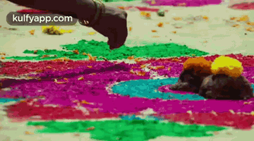 J Yuvaraj Who Is  Behind The Traditional And Realstic Shots From Sreekaram.Gif GIF
