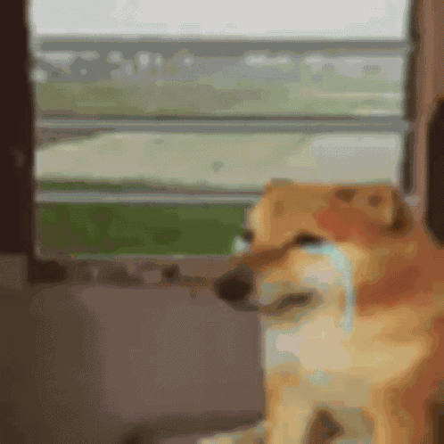 Ja Raha Mai Koi Nahi Aone GIF