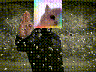 Jamcat Matrix GIF