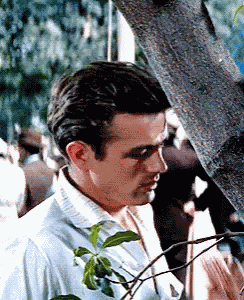 James Dean GIF