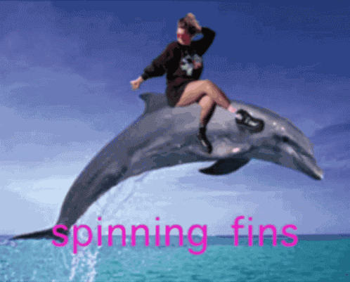 Jamilax Dolphin GIF