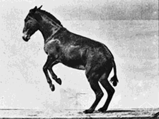 Janestree GIF