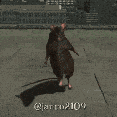 Janro Dancing Rat GIF