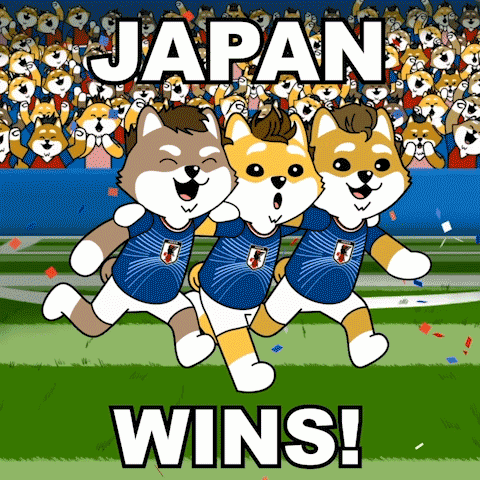 Japan Fifa World Cup GIF