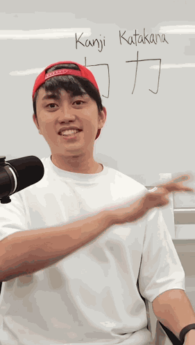Japan Real Real Japan GIF