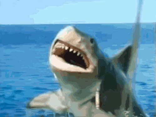 Jaws GIF
