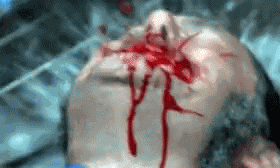 Jaws Blood GIF