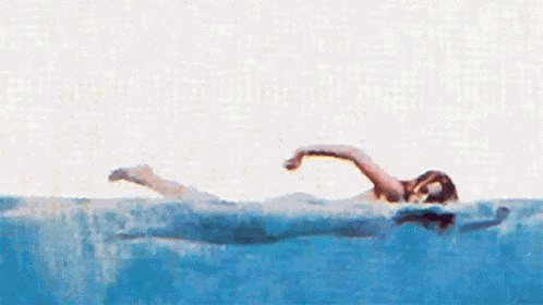 Jaws Nat Geo Explores GIF