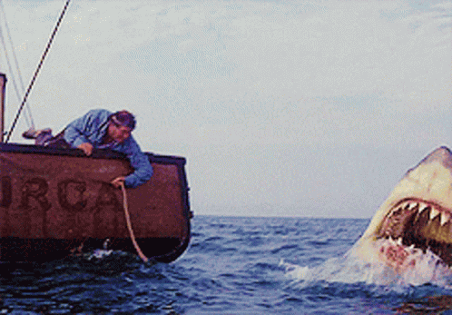 Jaws Shark GIF