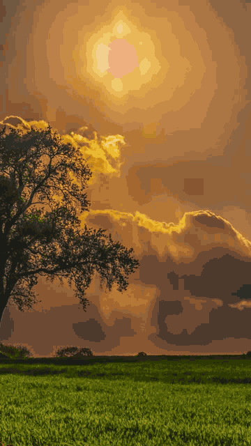 Jay Baiga Ajay Baiga Meme